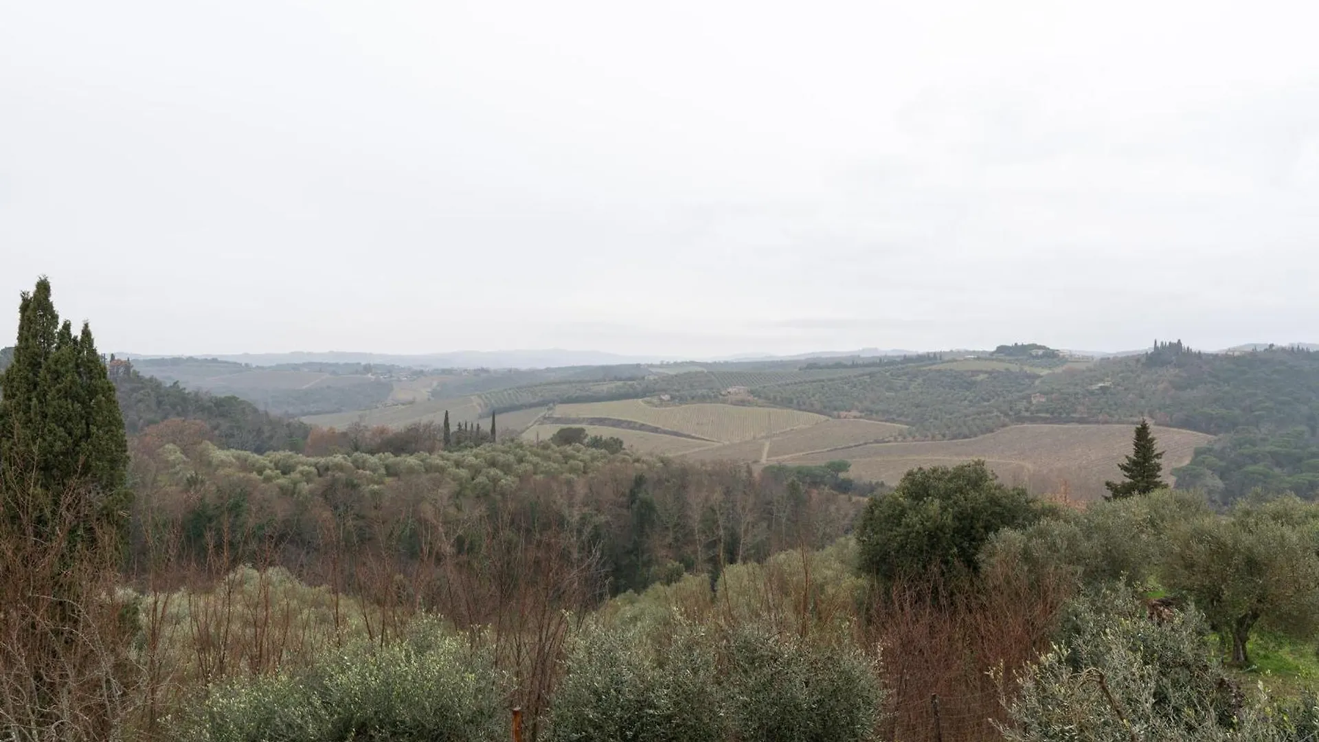 Villa Marielena Chianti Hills View By Bestofmas Monteaperti  Holiday home